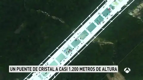 PASARELA PASARELA