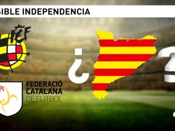 Las Federaciones catalanas se desligan de la independencia y el CSD da su apoyo a los deportistas Las Federaciones catalanas se desligan de la independencia y el CSD da su apoyo a los deportistas