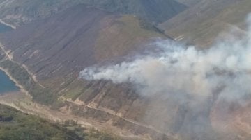 El fuego de Matalavilla (León) alcanza una zona habitada por osos y urogallos