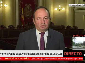 SANZ SANZ