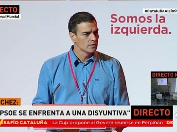 Pedro Sánchez: "El PSOE opta por proteger la Constitución frente a la disyuntiva de dar la espalda a España"