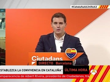 Albert Rivera, presidente de Ciudadanos