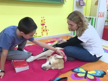 niñosperros niñosperros