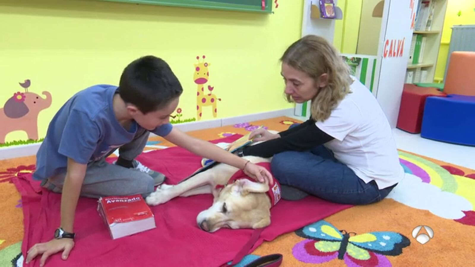 Varios perros ayudan a mejorar en lectura a niños con necesidades especiales