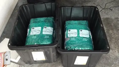 29 kilos de marihuana en Amazon En Florida