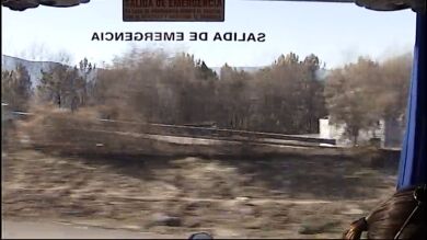 La ola de incendios que arrasó el 90% de la superficie de As Neves deja un paisaje desolador