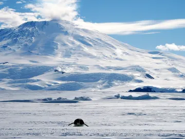 La ESA busca médico para llevar a cabo investigaciones en la Antártida para preparar misiones a Marte La ESA busca médico para llevar a cabo investigaciones en la Antártida para preparar misiones a Marte