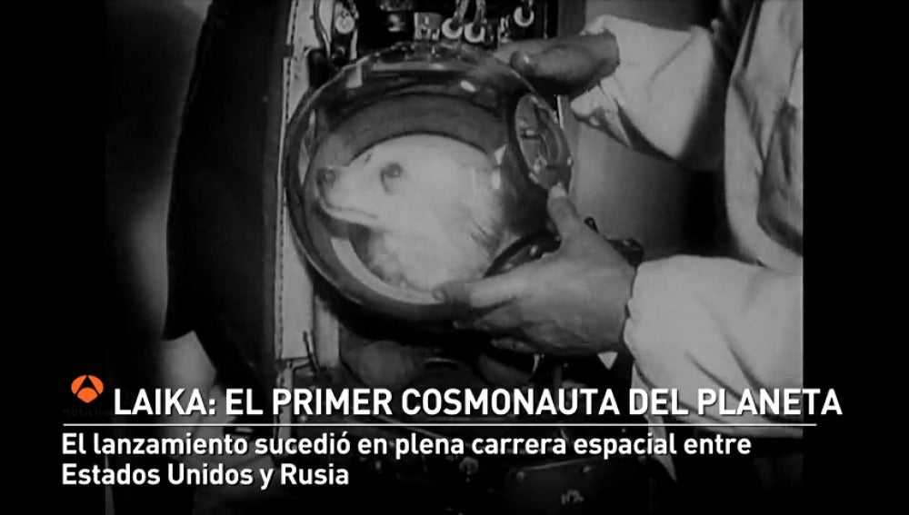 60 años desde el lanzamiento de la perra Laika al espacio