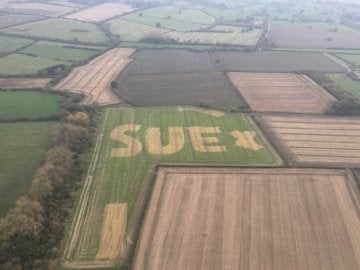  "SUE x", el mensaje escrito en un campo de Oxfordshire