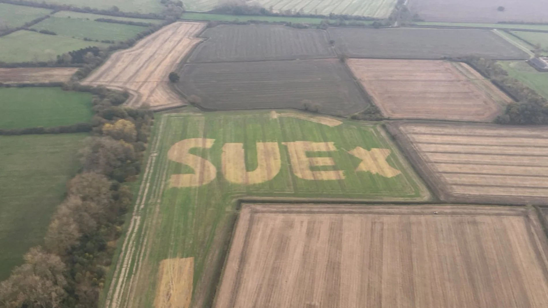 "SUE x", el mensaje escrito en un campo de Oxfordshire "SUE x", el mensaje escrito en un campo de Oxfordshire