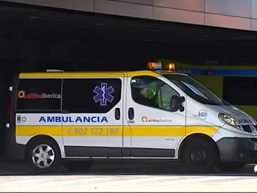 GALICIA PERROS GALICIA PERROS