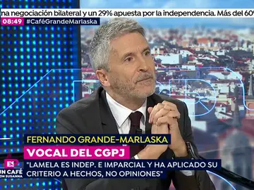 El juez Grande-Marlaska en EP El juez Grande-Marlaska en EP