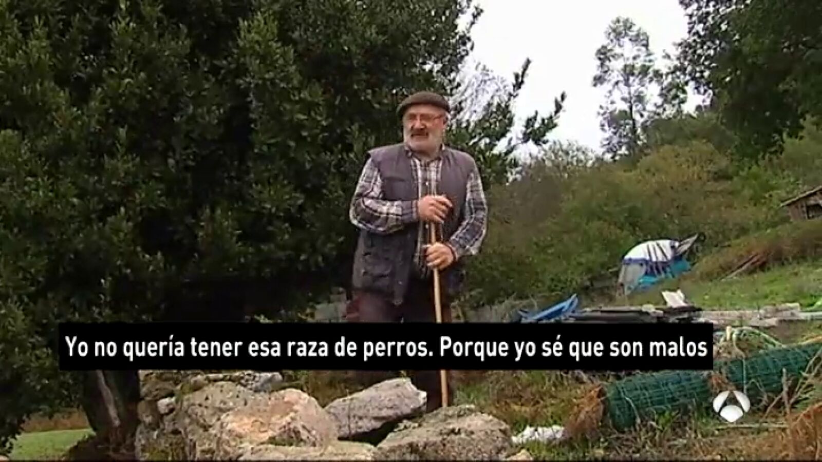 El suegro del dueño de los perros que atacaron a una anciana en Galicia: 