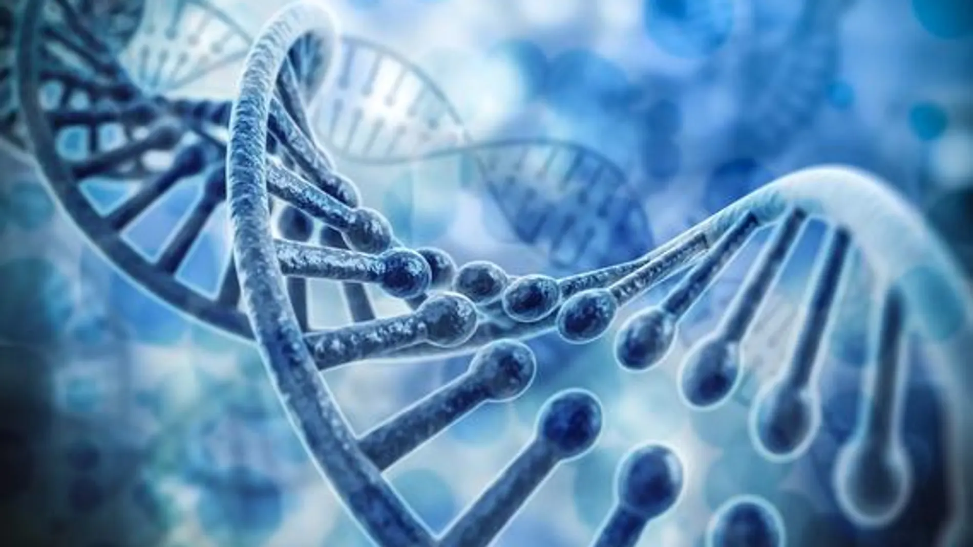Un nuevo metodo acelera el mapeo de genes en la materia oscura del ADN Un nuevo metodo acelera el mapeo de genes en la materia oscura del ADN