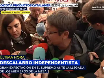 DOMENECH DOMENECH