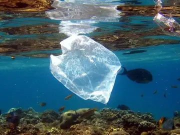 Residuos de plástico en el mar (Archivo) Residuos de plástico en el mar (Archivo)