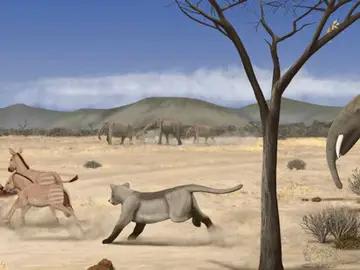 Madrid estaba ocupado por una árida sabana hace 14 millones de años Madrid estaba ocupado por una árida sabana hace 14 millones de años