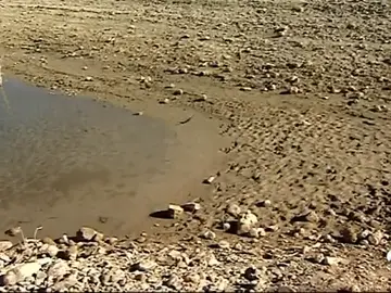 España está viviendo una de las sequía más destructivas de la historia España está viviendo una de las sequía más destructivas de la historia