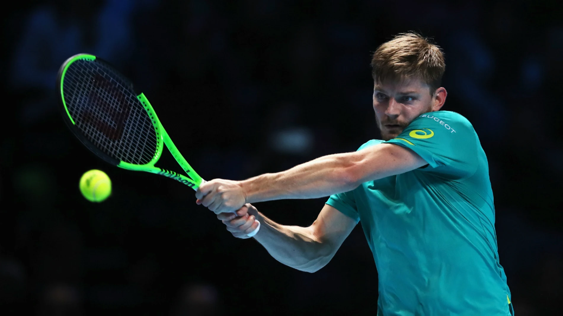 David Goffin David Goffin