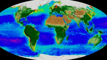 Mapa animado de la NASA