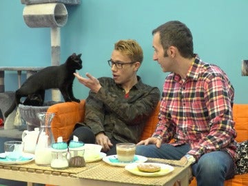En este 'neko café' no faltan ni los mininos ni los dorayakis. En este 'neko café' no faltan ni los mininos ni los dorayakis.