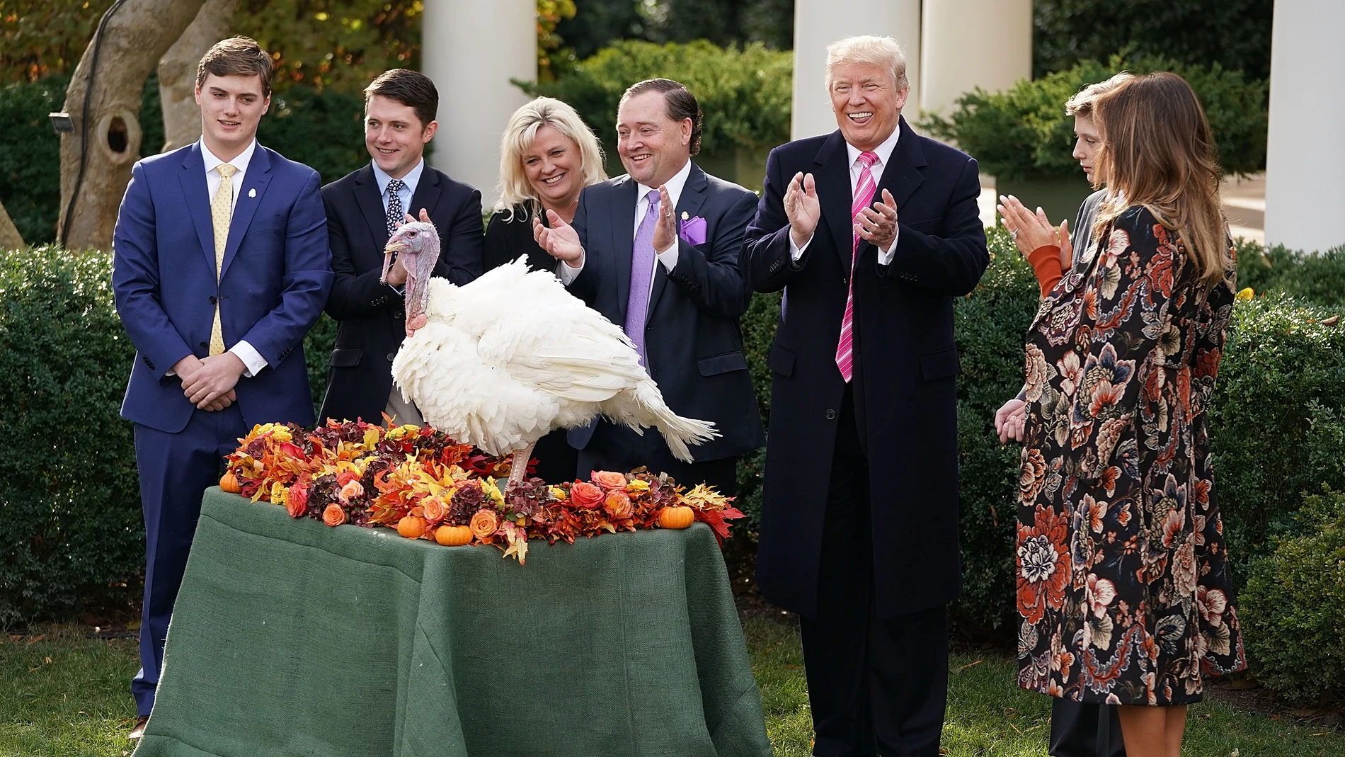 Uno de los pavos indultados por Trump Uno de los pavos indultados por Trump