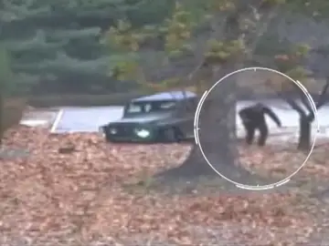 Pyongyang vulneró el alto el fuego en la deserción del soldado norcoreano Pyongyang vulneró el alto el fuego en la deserción del soldado norcoreano