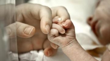 Un bebe coge de la mano a su madre