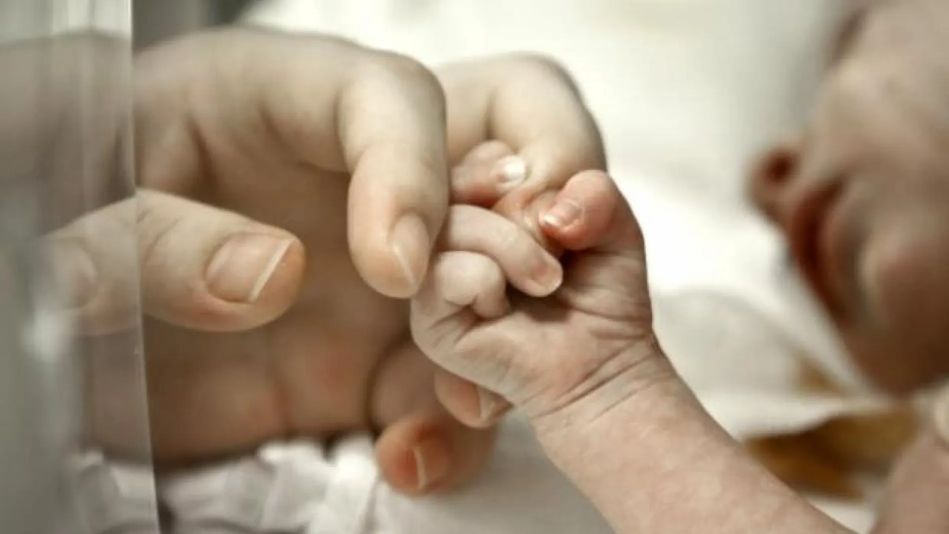 Un bebe coge de la mano a su madre Un bebe coge de la mano a su madre