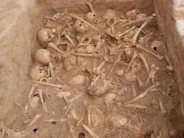Craneos y huesos humanos encontrados durante unas obras en Madrid.
