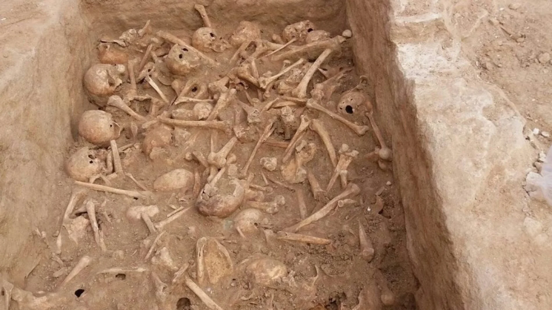 Craneos y huesos humanos encontrados durante unas obras en Madrid. Craneos y huesos humanos encontrados durante unas obras en Madrid.