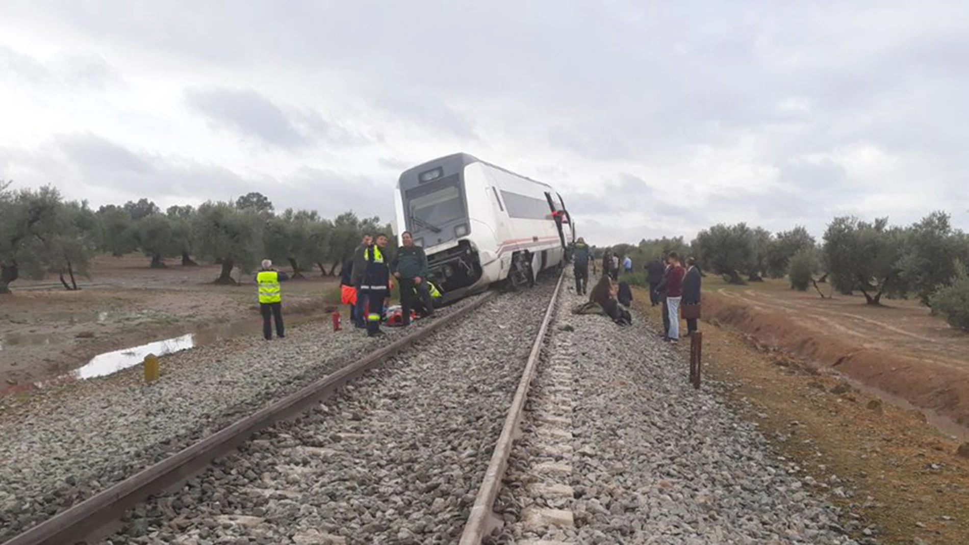 Tren Málaga-Sevilla que ha descarrilado Tren Málaga-Sevilla que ha descarrilado
