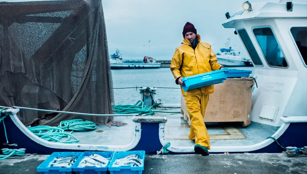 El pescado de acuicultura llega en horas a la pescadería.
