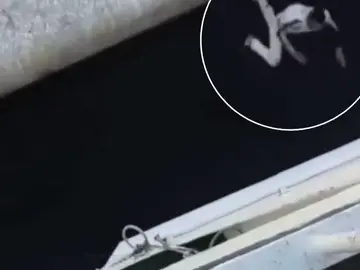 Cientos de jóvenes se juegan cada día la vida para cruzar la frontera y llegar a España Cientos de jóvenes se juegan cada día la vida para cruzar la frontera y llegar a España