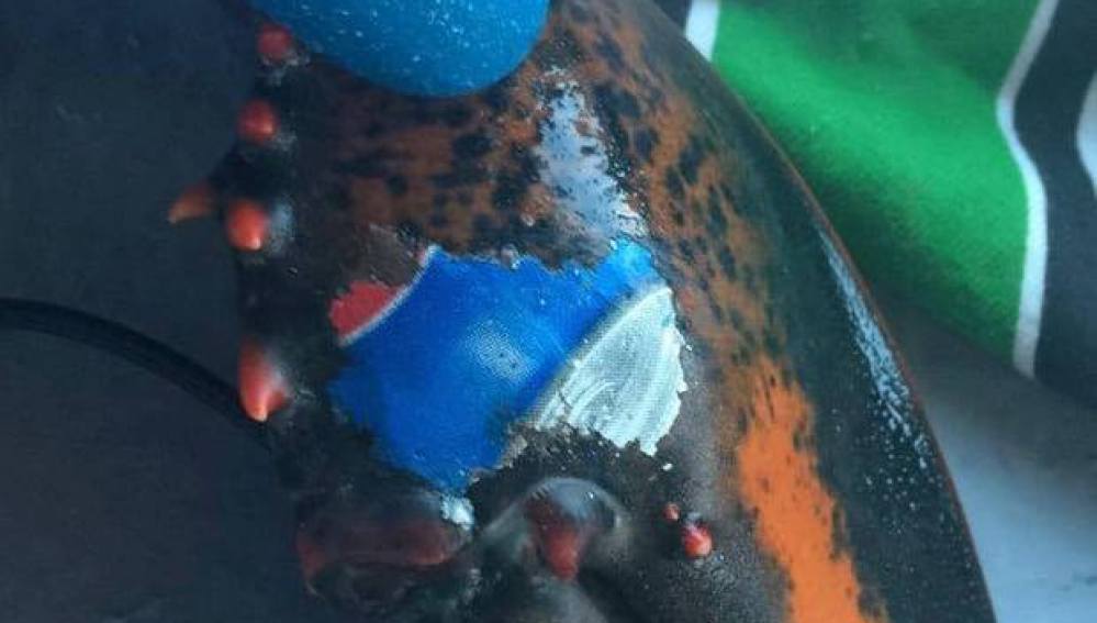 Foto de Karissa Lindstrand 