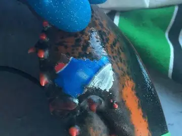 Foto de Karissa Lindstrand Foto de Karissa Lindstrand