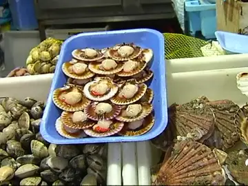 marisconavidad marisconavidad