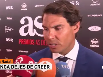 CerezoKikoNadalA3D CerezoKikoNadalA3D