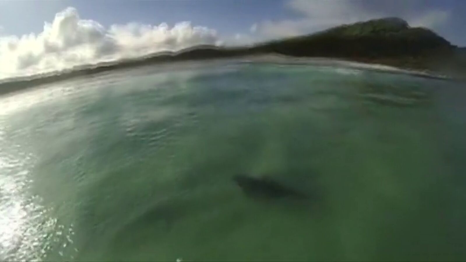 Susto de un surfista al cruzarse con un tiburón toro mientras cogía olas sobre su tabla