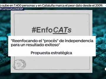 EP enfocats EP enfocats