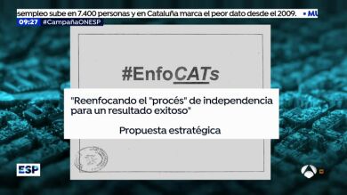 ¿Por qué ha tenido tanto peso el documento 'EnfoCATs' en el auto de Llarena?