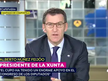FEIJO FEIJO