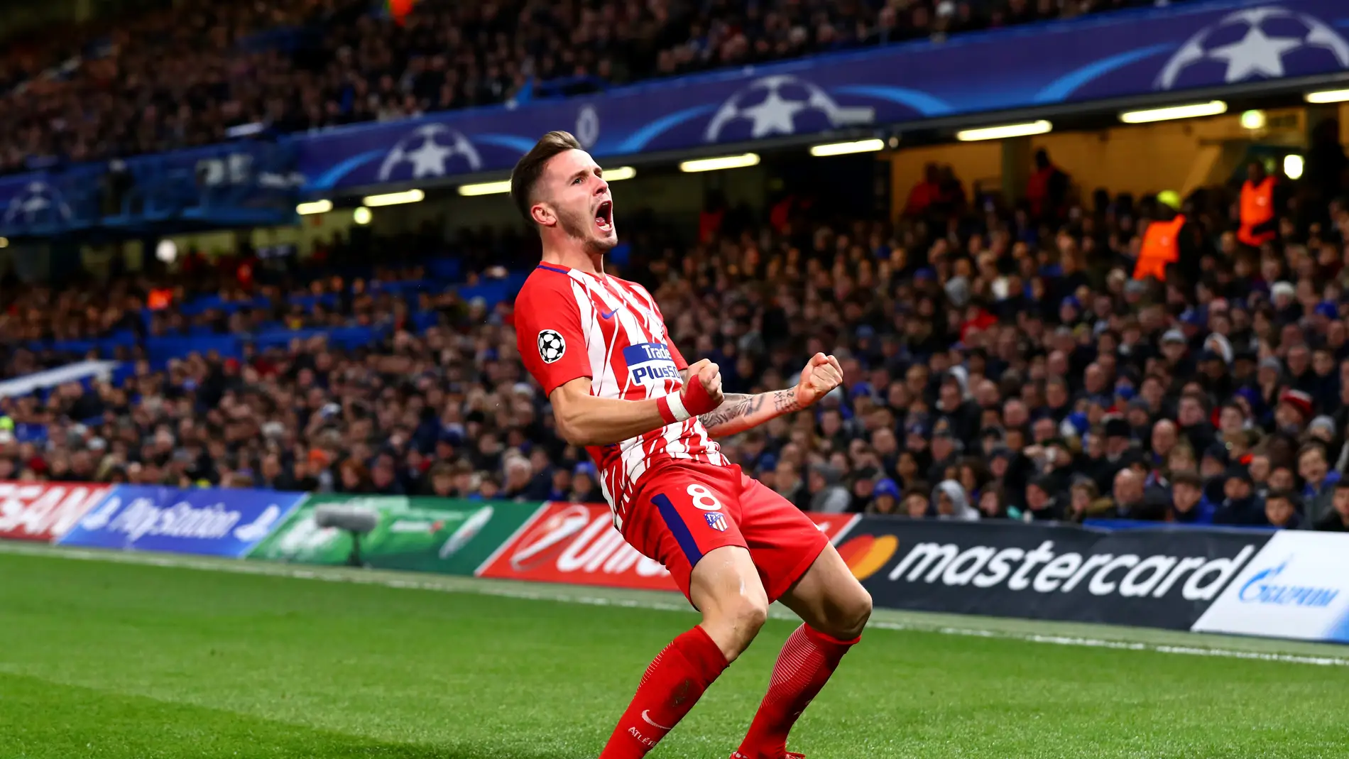 Saúl celebra su gol ante el Chelsea