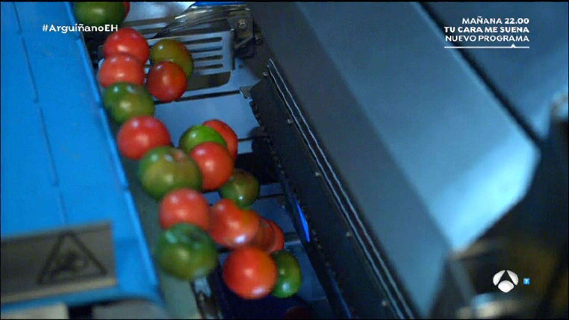 La primera m&Atilde;&iexcl;quina capaz de separar tomates seg&Atilde;&ordm;n su color