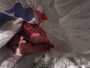 Dejan una cabeza de cordero ensangrentada en una mesa informativa de C's en Barcelona