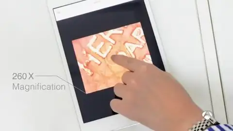 falsificaciones NEW falsificaciones NEW