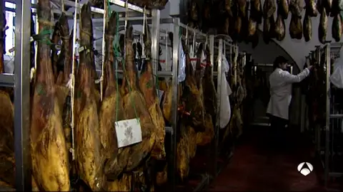 jamon NEW jamon NEW