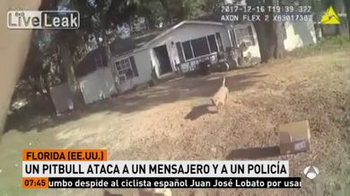 Un pitbull ataca a un policía que realizaba fotos de una casa de Florida