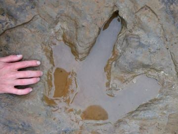 Imagen de archivo de una posible huella de dinosaurio