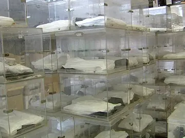 Urnas. Archivo. Urnas. Archivo.